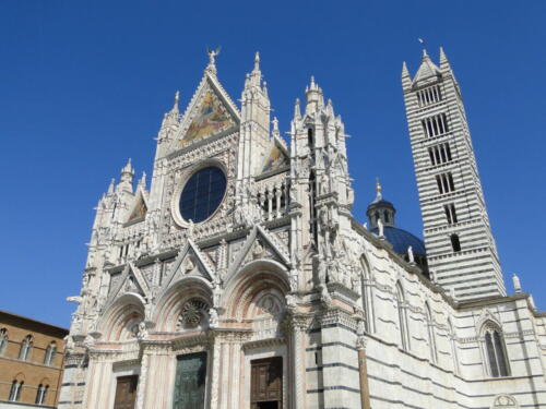 Duomo-di-Siena-18 siena sposi matrimoni religiosi 