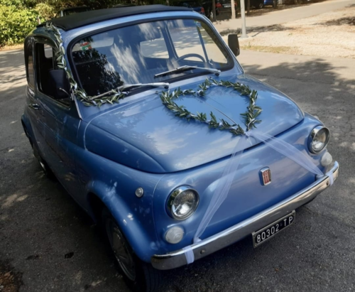 fiat-500-blu-con-ulivo siena sposi matrimoni noleggio auto 