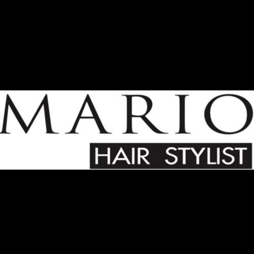 Mario Hair Stylist, logo